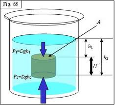 principio fundamental de la hidrostática